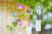 夏の季節にぴったりなプレゼント特集