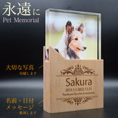 ペット位牌クリスタルの選び方と思い出を美しく残すためのヒント